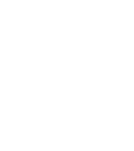 Federal / Local Government